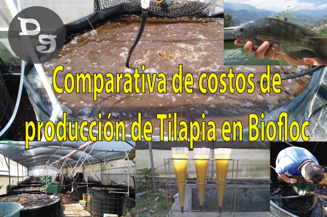 Comparativa de Costos de Producción de Tilapia en Biofloc-02
