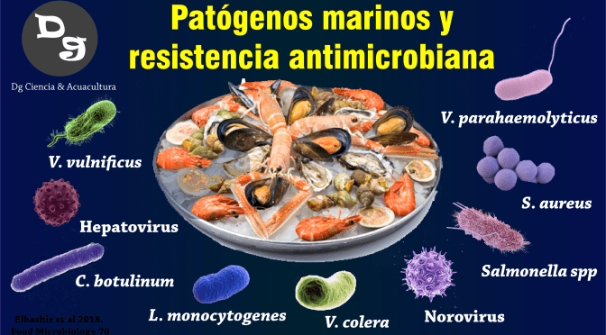 Patógenos de pescados y mariscos  e información sobre resistencia a los antimicrobianos: Una revisión