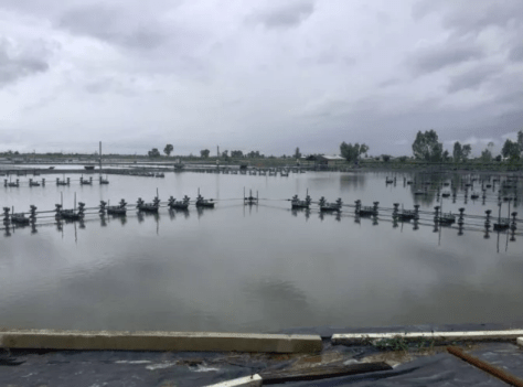 screenshot_Sun_Oct_08_22.23.27