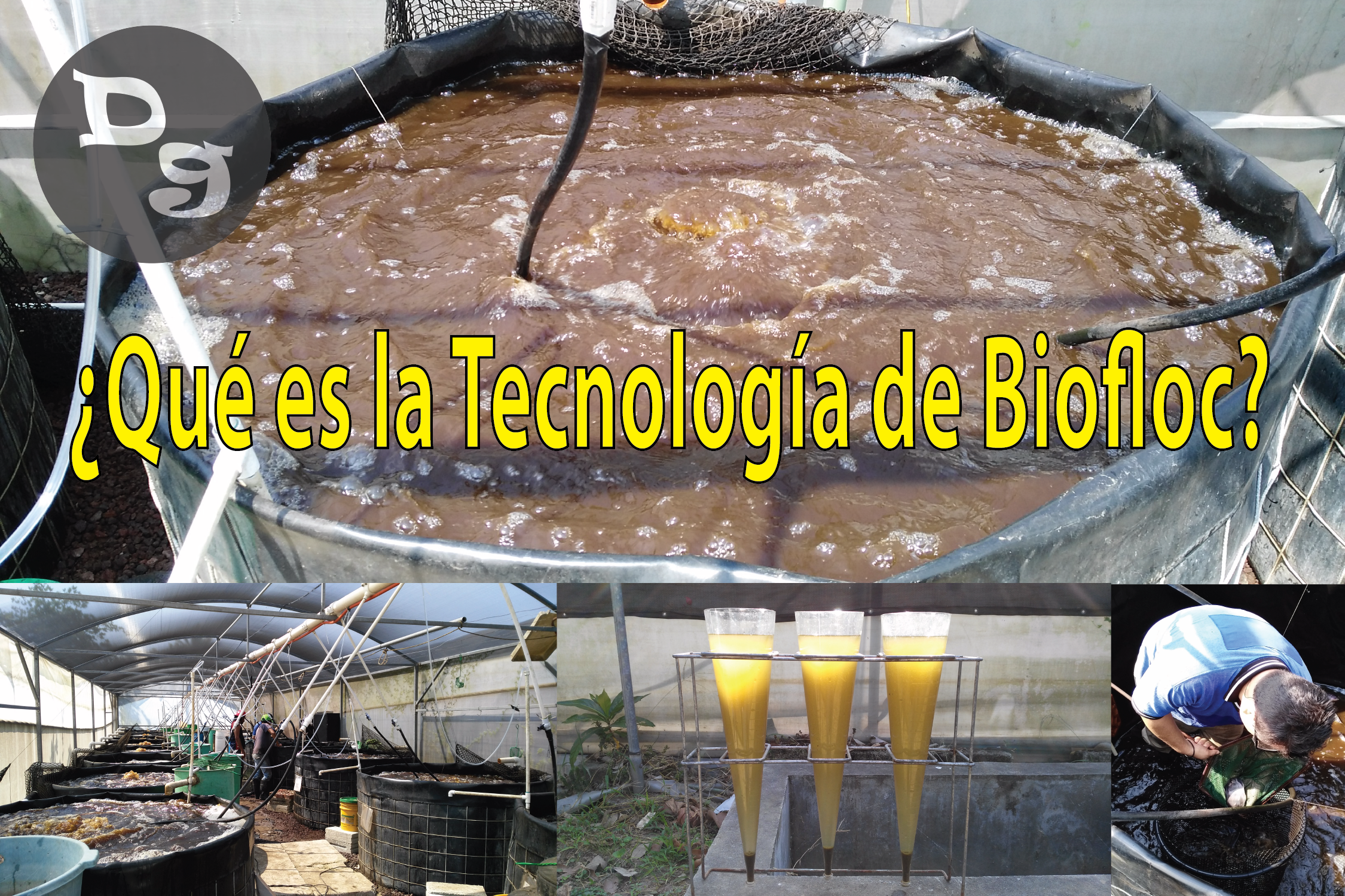 Tecnología de Biofloc-01.png