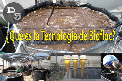 Tecnología de Biofloc-01.png
