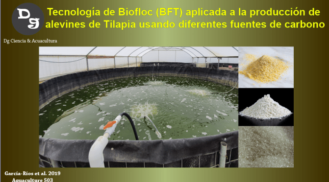 Tecnología de Biofloc aplicada para la producción de alevines de Tilapia utilizando diferentes fuentes de carbono