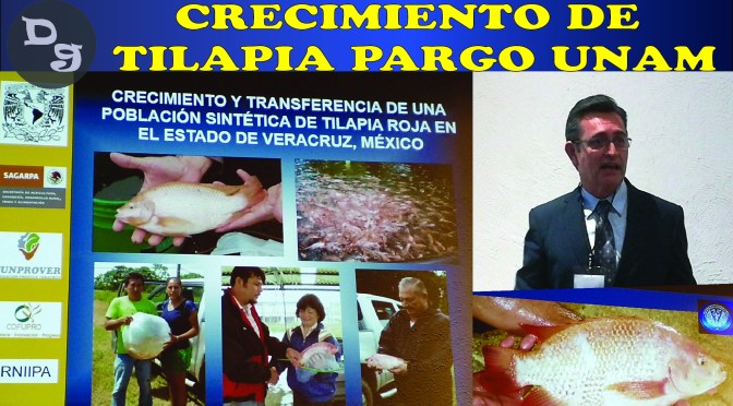 Crecimiento de Tilapia Roja Variedad Pargo-UNAM en Veracruz, México