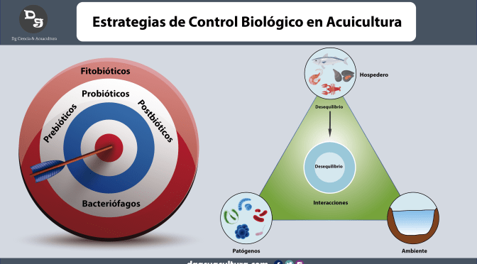 Enfoque biológico para el control de enfermedades en acuicultura